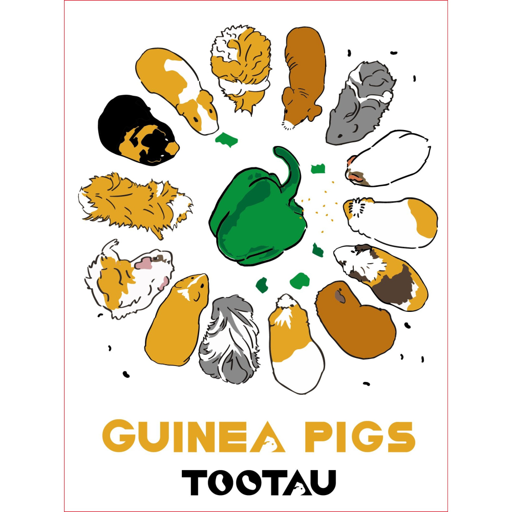 TOOTAU-天竺鼠土豆 文創直式帆布提袋-細節圖2
