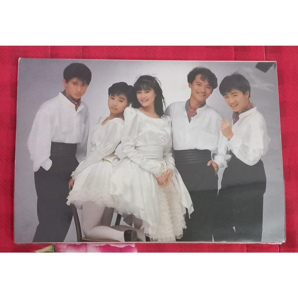 各式過期手帳 筆記本 工商日誌 記事本 電話簿 台新金控 台塑集團 富邦金控 大眾銀行 ｜經典小虎隊精美筆記本-細節圖3