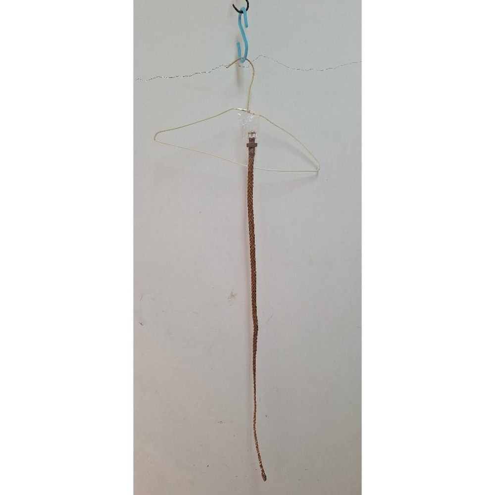 男士皮帶 商務休閒兩用 腰帶 可調整長度 自動扣頭 牛皮設計 耐用不易變-細節圖6