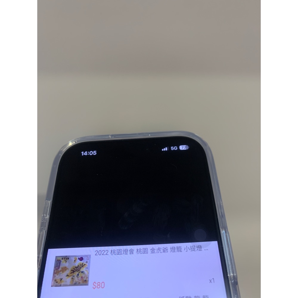 2022年跟2024年燈籠桃園-細節圖2