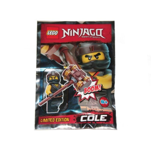 樂高 LEGO 891839 Ninjago 系列 忍者 Cole Polybag 全新未拆