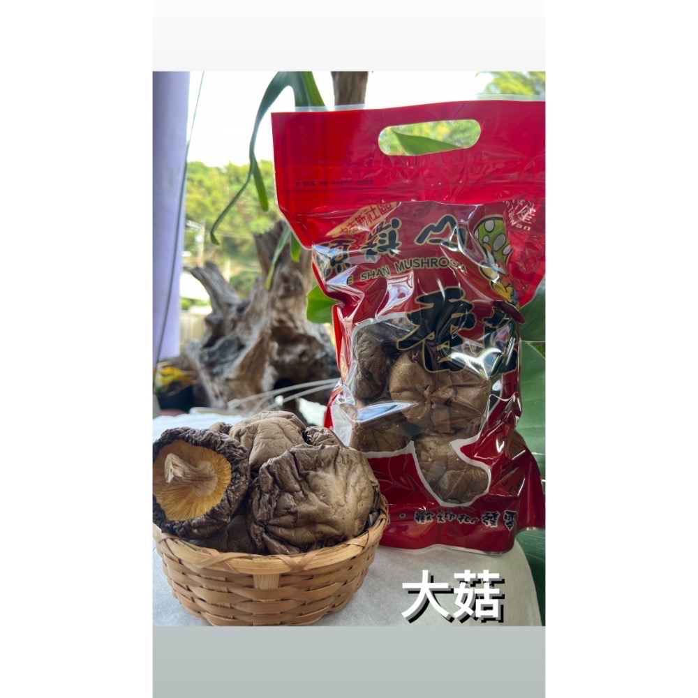 新社黑早冬菇（大菇）-規格圖3