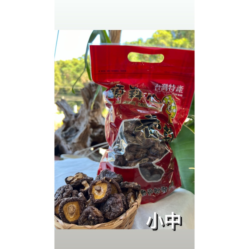 新社黑早冬菇（小中）-細節圖2