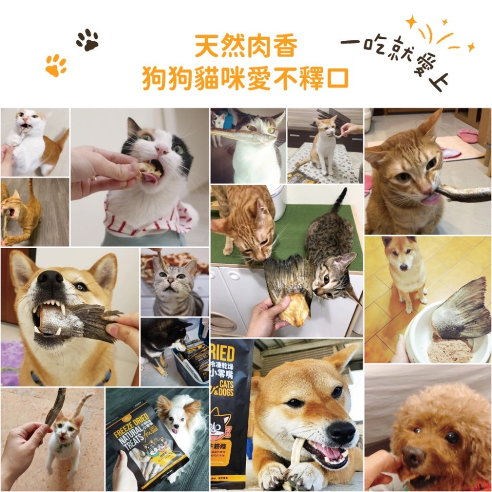 汪喵星球 狗狗包裝罐 犬貓冷凍乾燥原肉小零嘴 海味 山味 零食 凍乾 雞胸 骰子牛 小卷 牛心-細節圖4