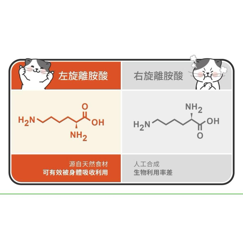 【贈保健品試吃包】星巴哈尼 貓用左旋離胺酸（雙多醣Plus+）【貓多多寵物小舖】-細節圖3