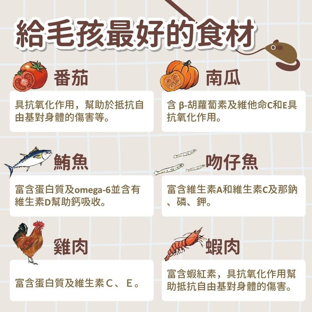 VOSTO 鮮雞肉罐 貓咪機能罐 80G 膠汁罐 貓咪最愛 副食罐 貓罐-細節圖5