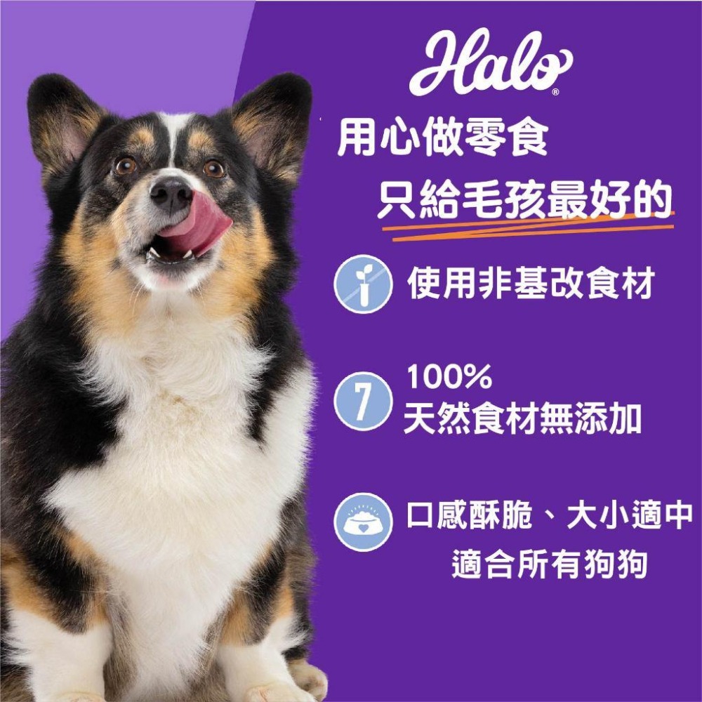 halo 嘿囉 狗零食 低敏舒膚 酥餅 226g狗餅乾 犬用零食 低敏 藍莓燕麥 香蕉花生 南瓜花生【貓多多寵物小舖】-細節圖2