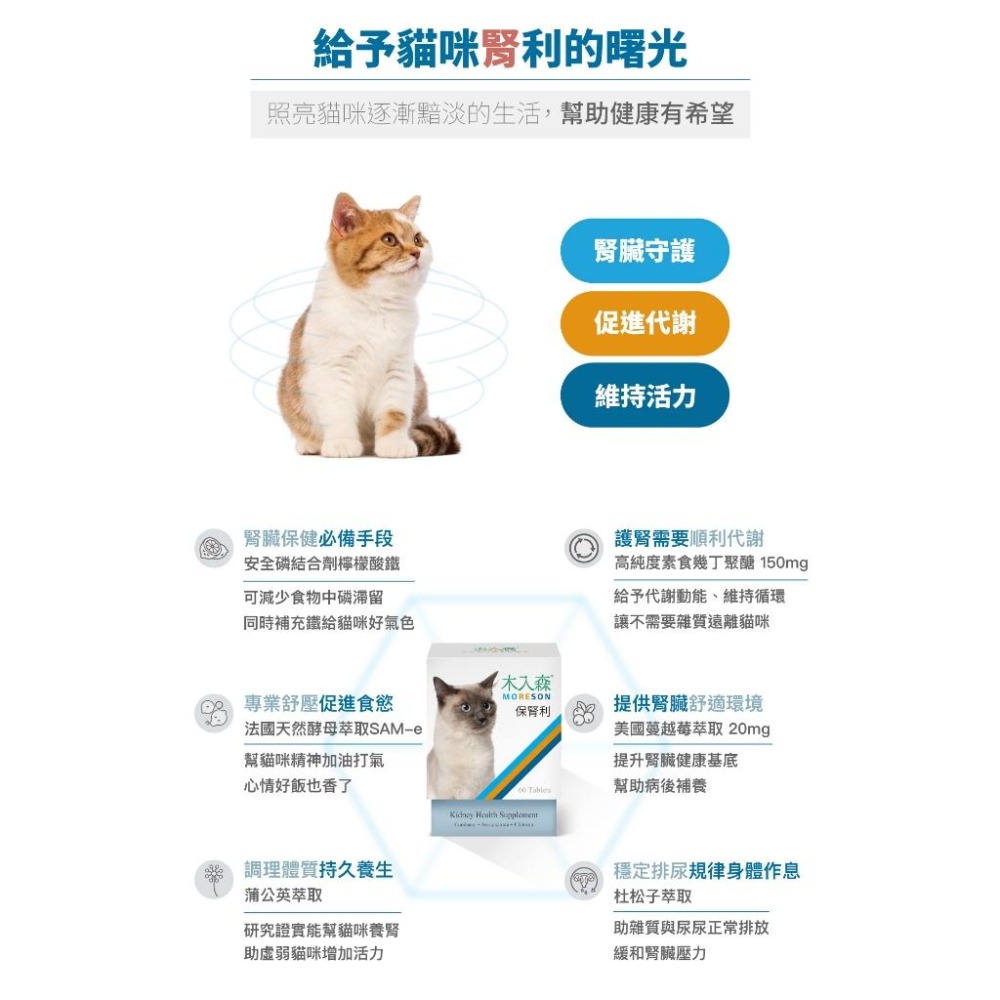 【買大送小】木入森MRS 貓咪保腎利 60顆/30顆 貓咪腎臟保健營養補充【貓多多寵物小舖】-細節圖5