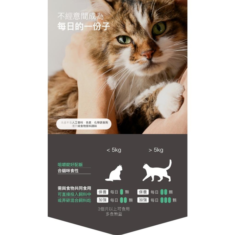 【買大送小】木入森MRS 貓咪保腎利 60顆/30顆 貓咪腎臟保健營養補充【貓多多寵物小舖】-細節圖9