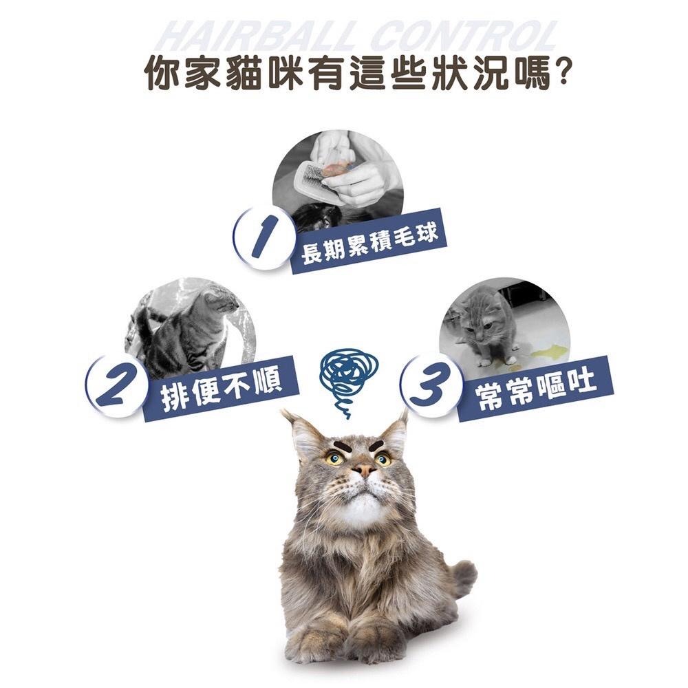 Astar 貓咪保健品/60g(全齡貓適用) 泌尿道保健品 貓咪營養品 貓咪化毛粉 貓咪離胺酸 貓排毛粉-細節圖3
