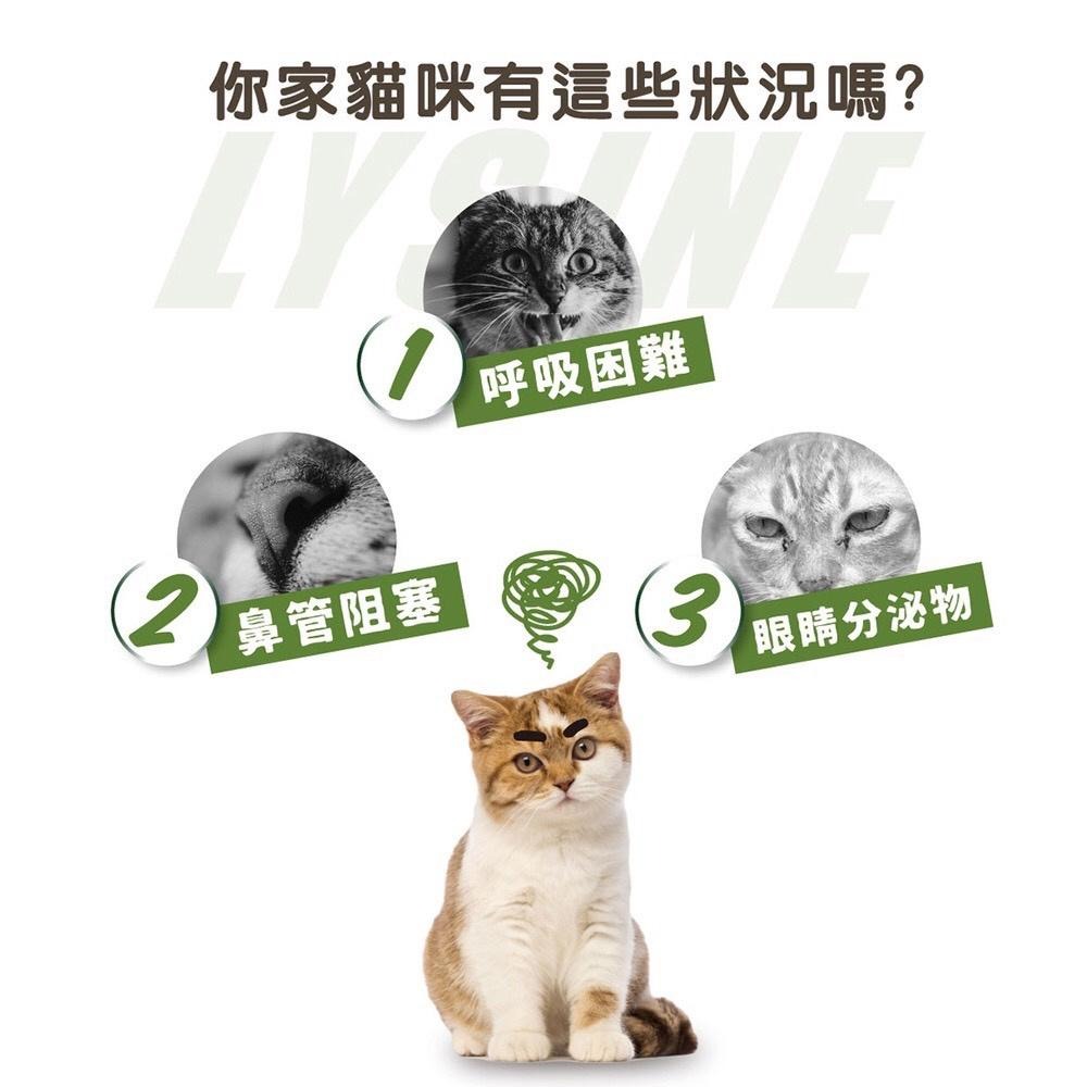 Astar 貓咪保健品/60g(全齡貓適用) 泌尿道保健品 貓咪營養品 貓咪化毛粉 貓咪離胺酸 貓排毛粉-細節圖9