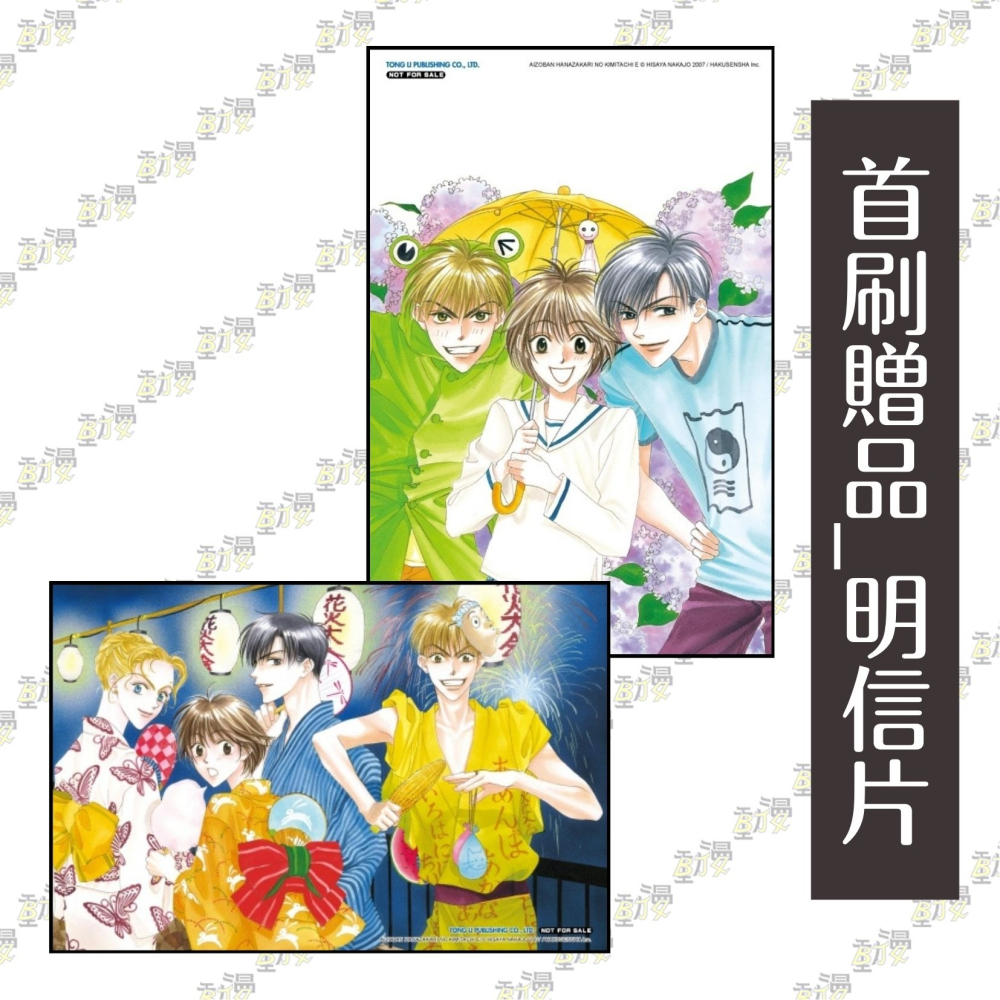 花樣少年少女 愛藏版 4《首刷限定版》│贈書套│中条 比紗也│東立漫畫│BJ4動漫-細節圖2