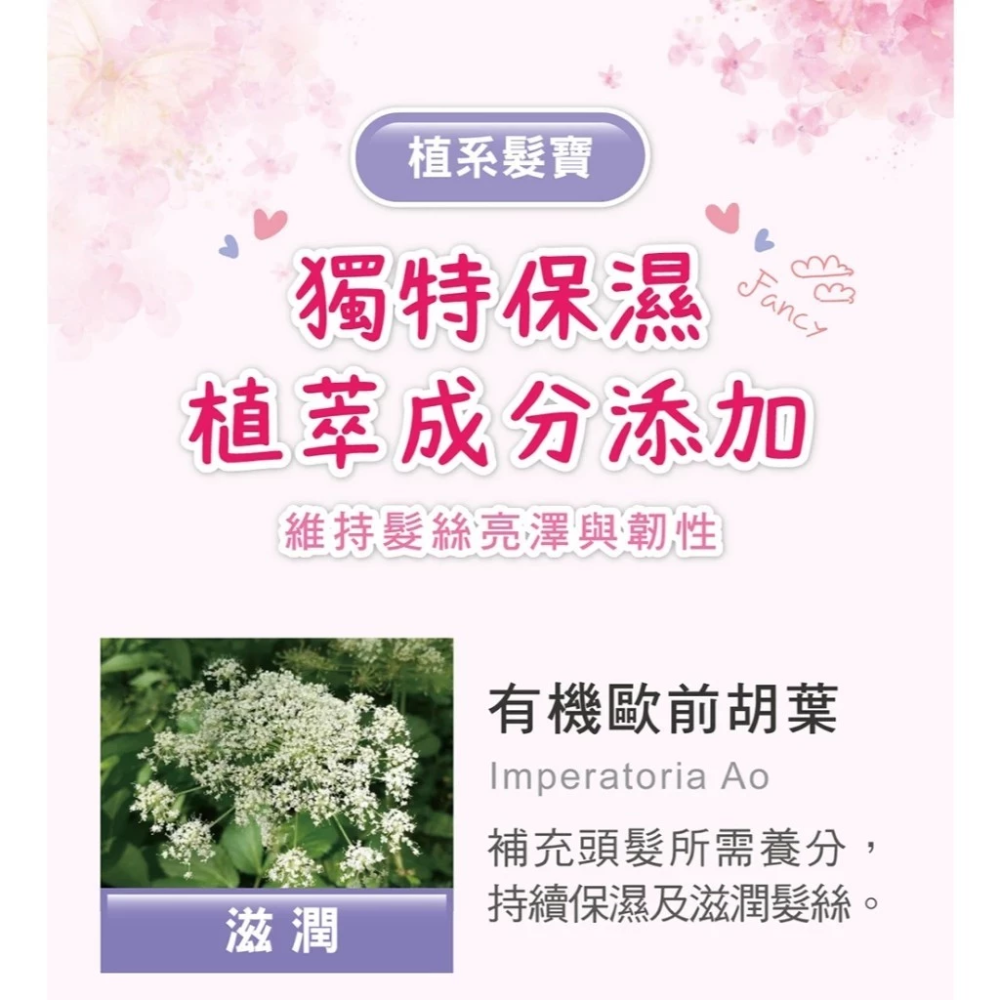 【舒妃】－附發票－型色家造型魔法棒系列 定型棒 乖乖棒 仙女棒-細節圖11