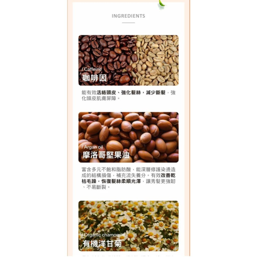 【舒妃SOFEI】—附發票—髮的能量修護 護髮膜300ml 涼感水潤/嚴損護色-細節圖6