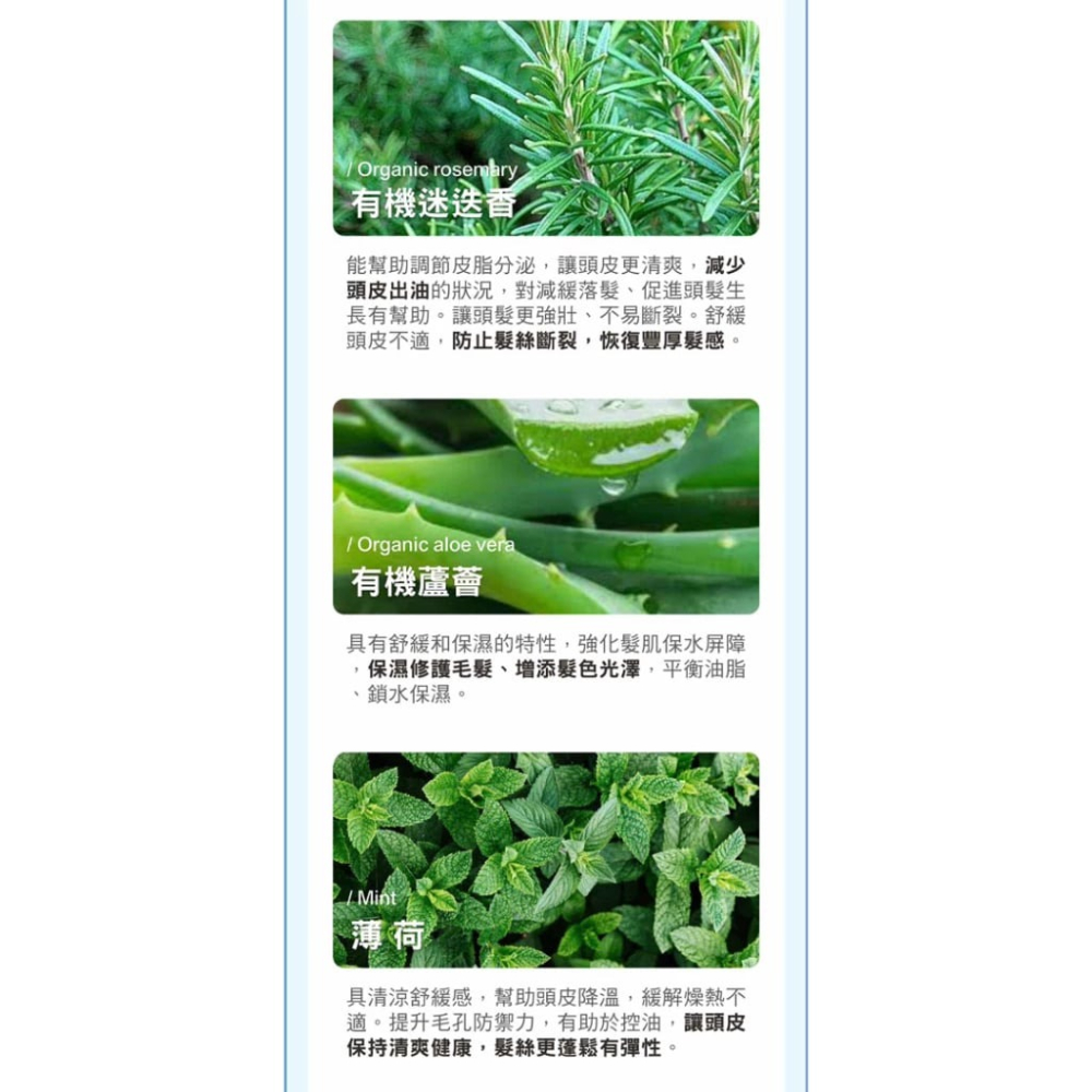 【舒妃SOFEI】—附發票—髮的能量修護 護髮膜300ml 涼感水潤/嚴損護色-細節圖7