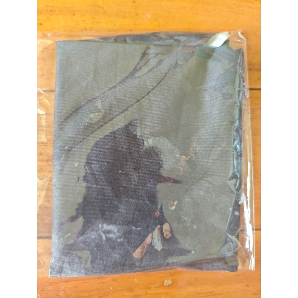 (現貨) PS5 刺客教條：黑旗 同步重置 中文一般版（含贈預購特典）-細節圖2