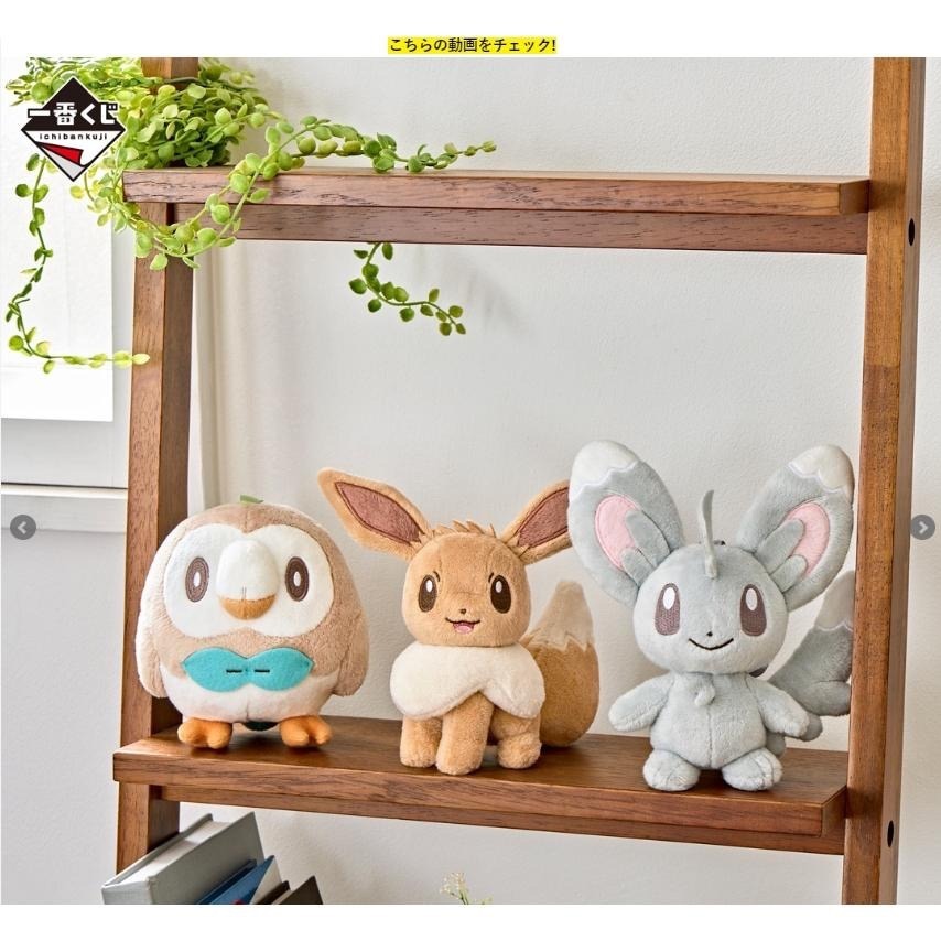 寶可夢 一番賞 耿鬼 木木梟 波加曼 給皂器 泡沫栗鼠 娃娃 伊布 皮卡丘 最後賞 A賞 B賞 D賞-細節圖2