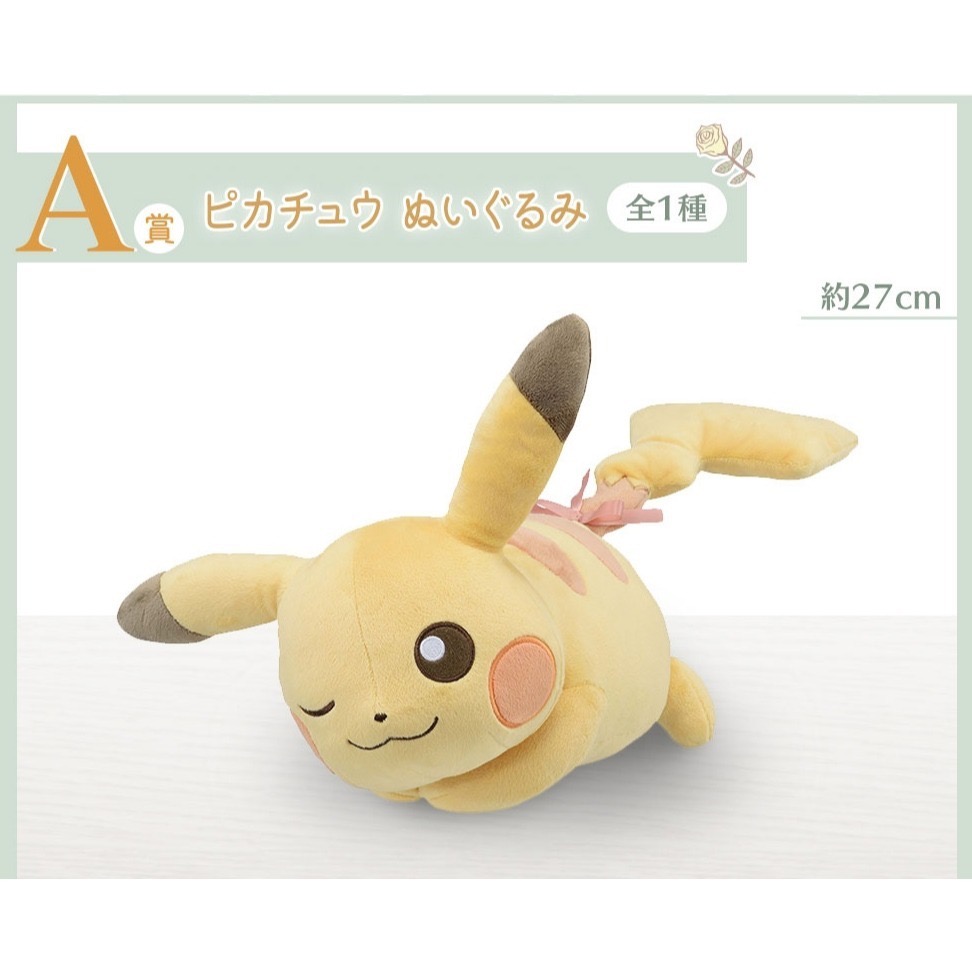 寶可夢 一番賞 耿鬼 木木梟 波加曼 給皂器 泡沫栗鼠 娃娃 伊布 皮卡丘 最後賞 A賞 B賞 D賞-細節圖5