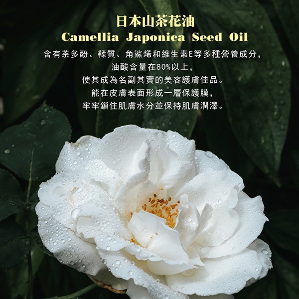 Dr.Piz B12頂級沙龍香氛沐浴露 24K頂級沙龍修護沐浴露 18K鉑金山茶花沐浴露 550ml 單入-細節圖10