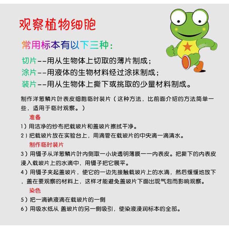 OM學生科學實驗鑑定1200倍生物顯微鏡 整套蝦卵養蝦標本工具精密金屬座塑膠收納箱 小科學家奇妙微觀世界兒童光學顯微鏡-細節圖11