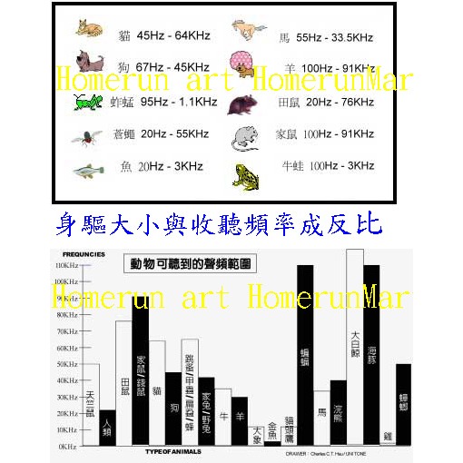 DC超音波自動變頻驅螨器除螨器殺螨驅老鼠電子驅鼠器驅蚊子驅蚊 器蟑螂跳螽蒼蠅蛙驅蟲器螞蟻木蟻蟋蟀蜂蛾蜘蛛蝗蟲蝙蝠 壁虎-細節圖2
