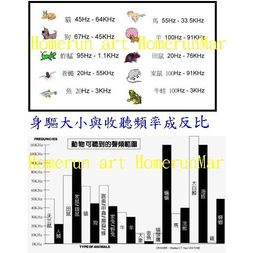 DF電子驅鼠器驅蚊子驅蚊器超音波自動變頻驅螨器除螨器殺螨驅老鼠蟑螂跳螽蒼蠅蛙驅蟲器螞蟻木蟻蟋蟀蜂蛾蜘蛛蝗蟲蝙蝠壁虎-細節圖2