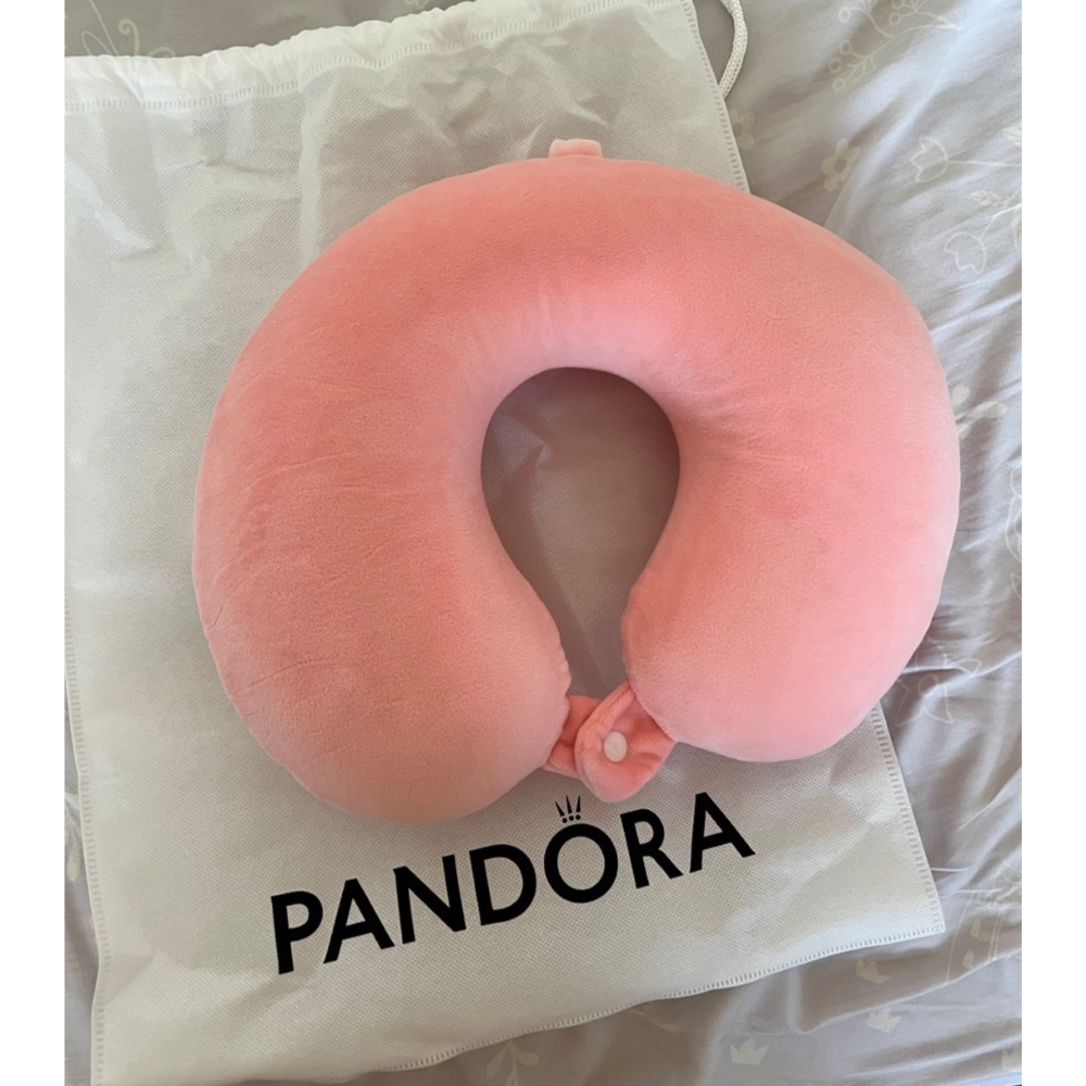 Pandora潘朵拉記憶枕頸枕-細節圖2