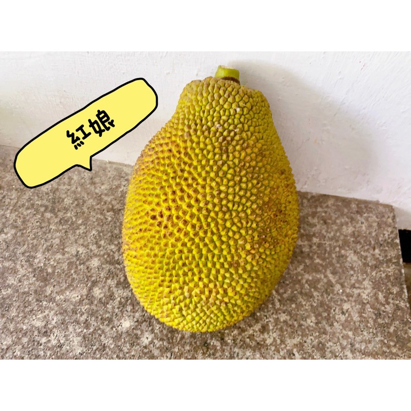 萃。檸檬 冷凍紅肉波羅蜜 可用客家幣付款！-細節圖3