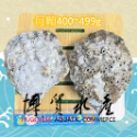 博貿水產 美國肥美大生蠔 新鮮到貨 / 美國大生蠔 / 生蠔 / 烤肉-規格圖2