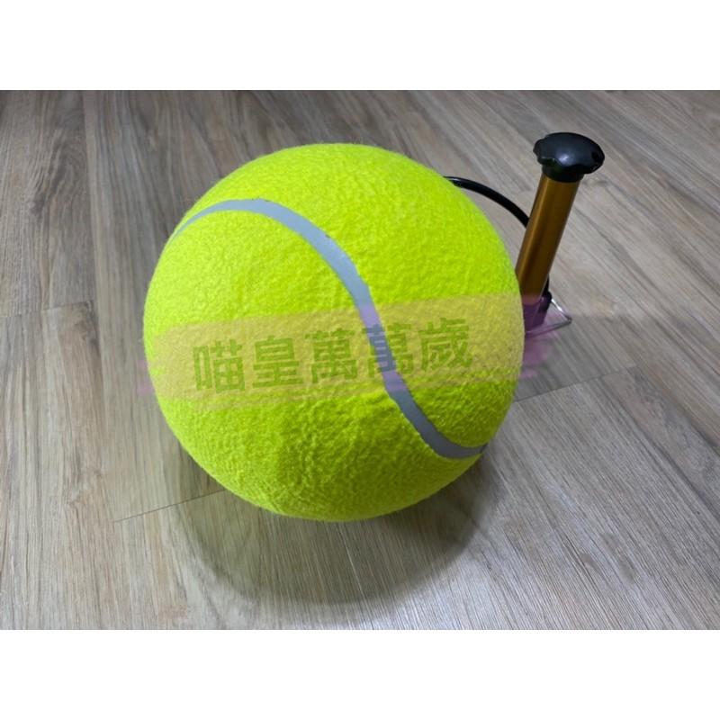 台灣現貨 超大快樂網球 簽名網球 寵物玩具 超大網球-細節圖4