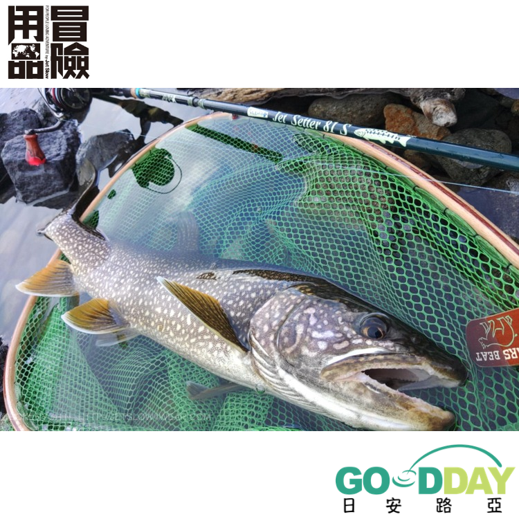 >日安路亞< 冒險用品 JJETSETTER 81S ROCA 2025 旅竿-細節圖2