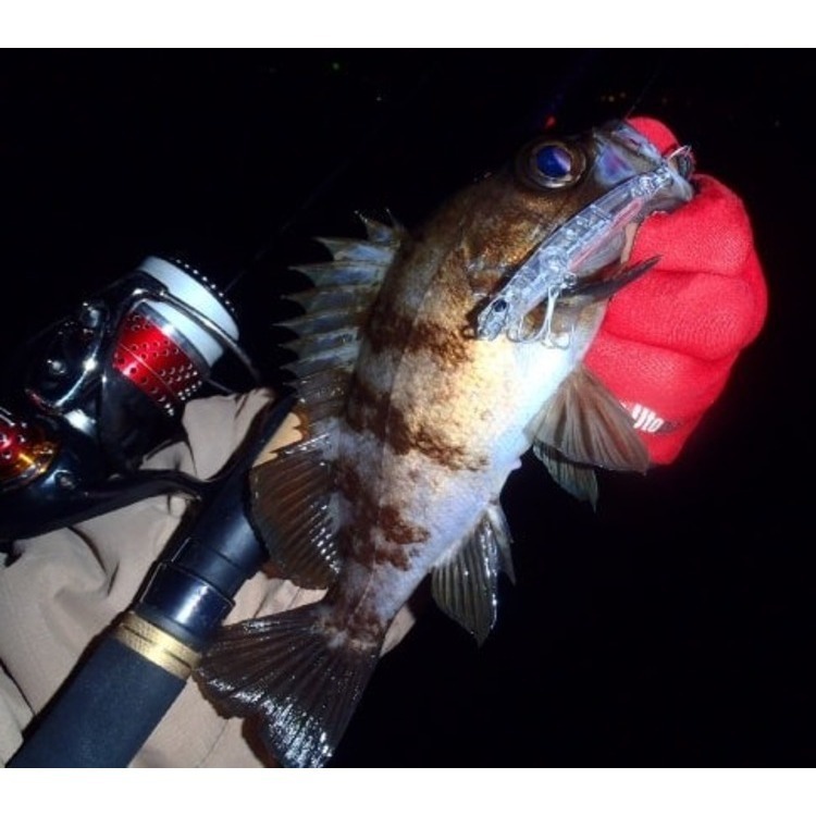 >日安路亞< APIA PUNCHLINE60 沉水鉛筆、黑鯛硬餌-細節圖5