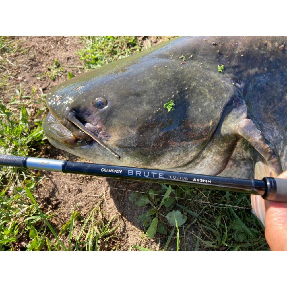 >日安路亞< APIA GRANDAGE  BRUTE 系列竿款-規格圖3