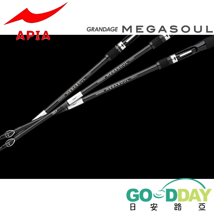 >日安路亞< APIA GRANDAGE MEGASOUL 船釣海鱸 大餌 淡水魚虎-細節圖2
