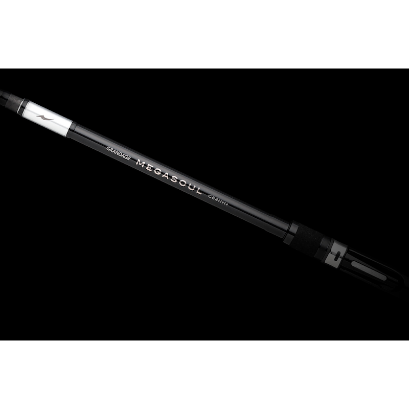 >日安路亞< APIA GRANDAGE MEGASOUL 船釣海鱸 大餌 淡水魚虎-規格圖3