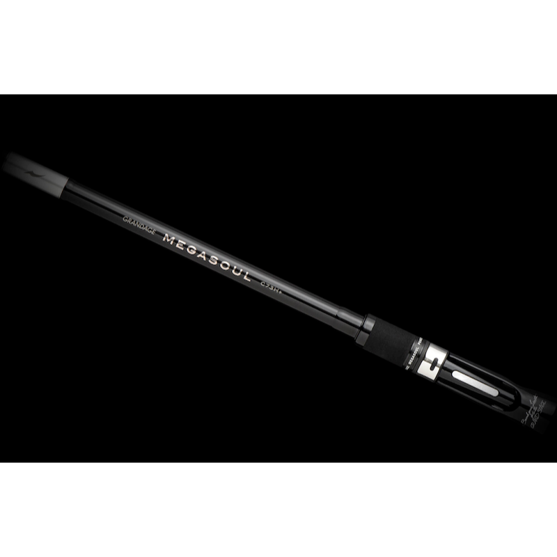 >日安路亞< APIA GRANDAGE MEGASOUL 船釣海鱸 大餌 淡水魚虎-規格圖3