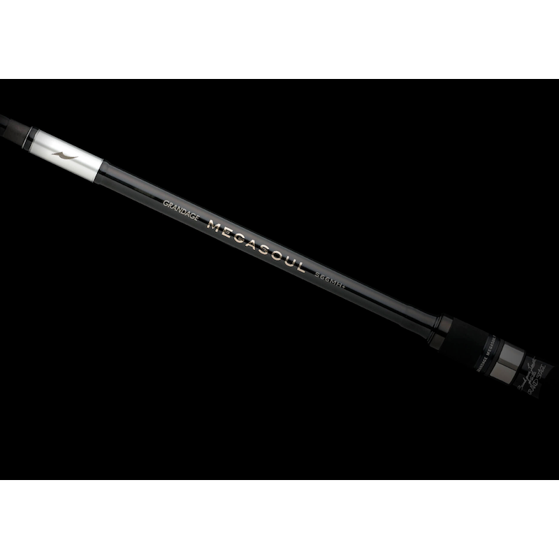 >日安路亞< APIA GRANDAGE MEGASOUL 船釣海鱸 大餌 淡水魚虎-規格圖3