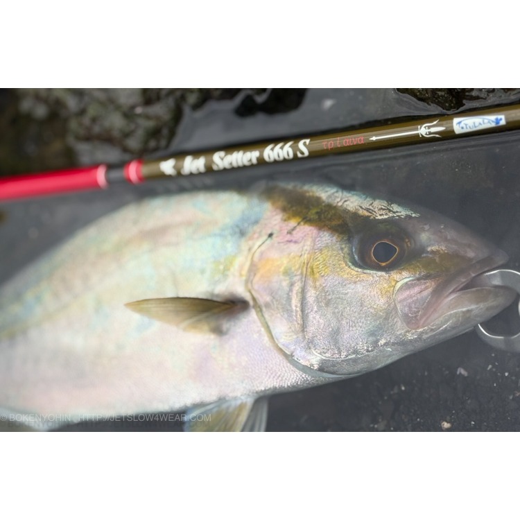 >日安路亞< 冒險用品 JETSETTER 666S Trident［三叉戟］ 多節旅竿-細節圖3