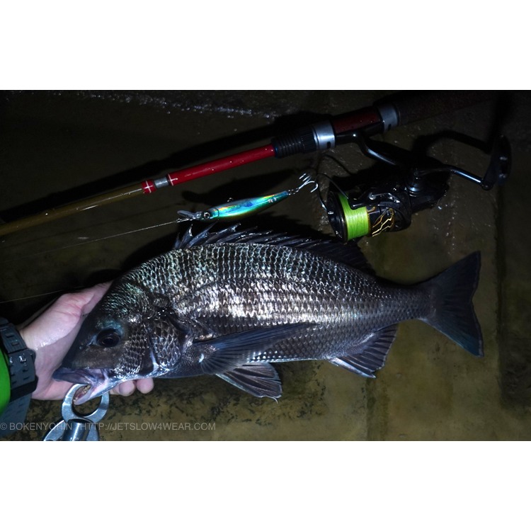 >日安路亞< 冒險用品 JETSETTER 666S Trident［三叉戟］ 多節旅竿-細節圖5