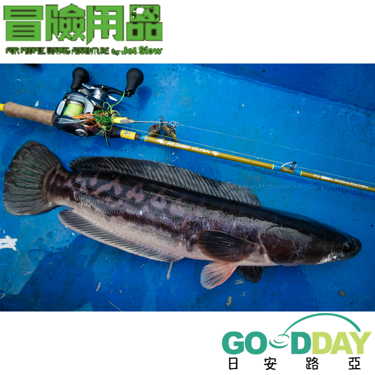 >日安路亞< 冒險用品 JETSETTER 506C AM MORPHO 亞馬遜 獵怪-細節圖3