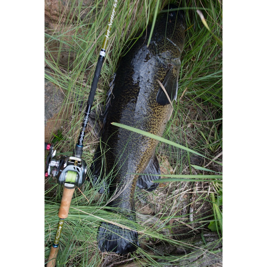 >日安路亞< JetSlow×TULALA 冒險用品 JetSetter 63C 大餌竿-細節圖3