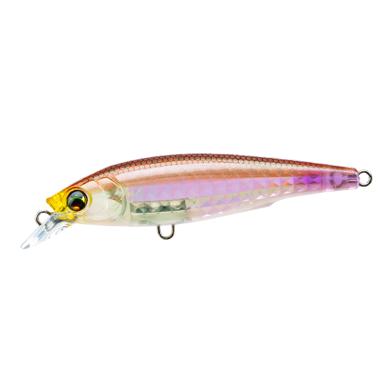 >日安路亞< DUEL F1213 L-BASS JERKBAIT 80F 浮水米諾-規格圖2