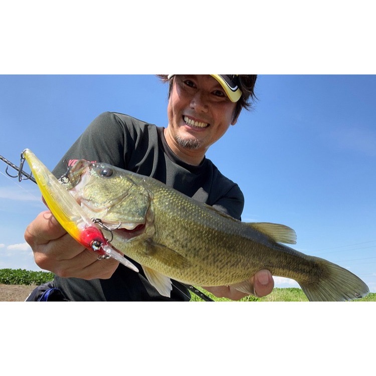 >日安路亞< DUEL F1239 L-BASS JERKBAIT MID 110SF 米諾-細節圖5