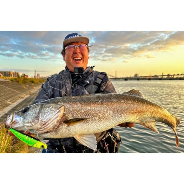 >日安路亞< LONGIN WAKEY BOO 137mm/48g 米諾-細節圖3