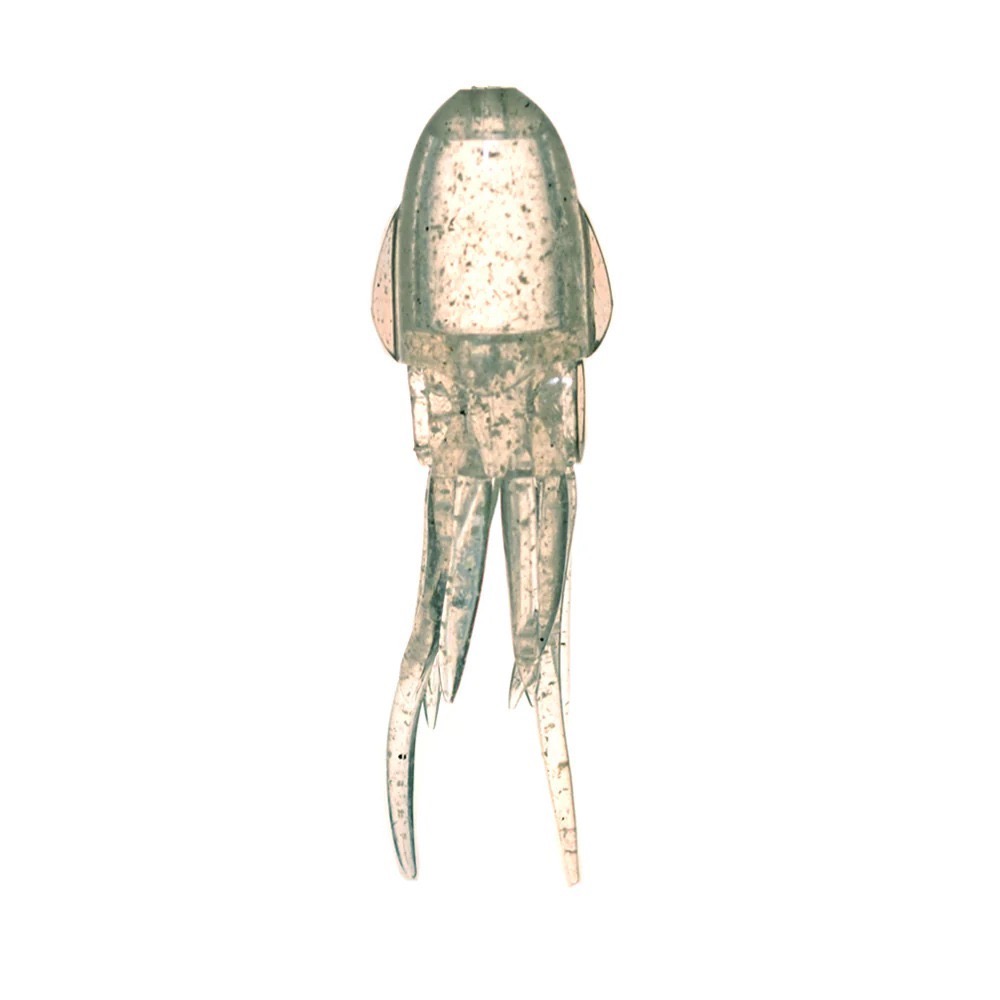 >日安路亞< LUMICA TG REPLACEMENT SQUID SUIT 游動丸替換軟餌-規格圖1