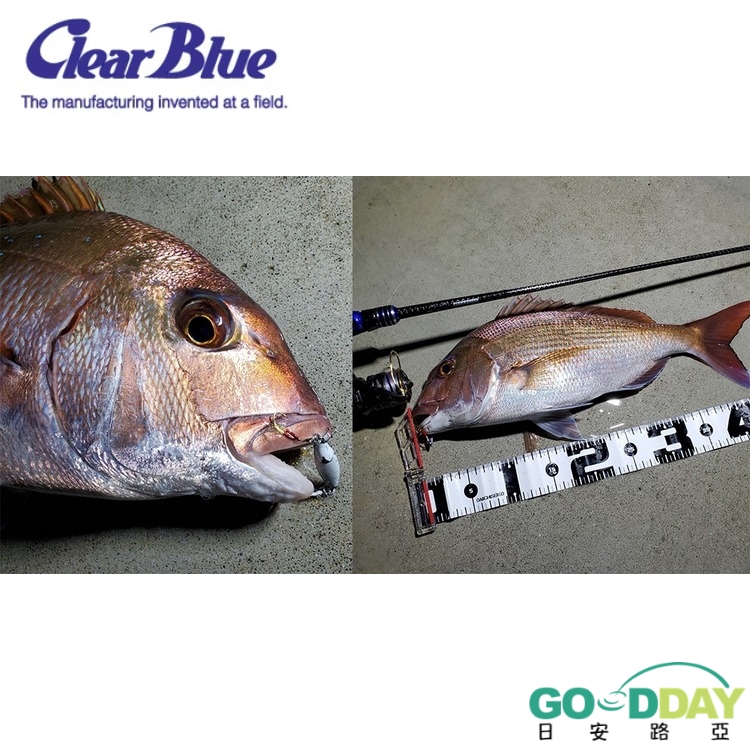 >日安路亞< Clear Blue BOARD JIG 小鐵板-細節圖2