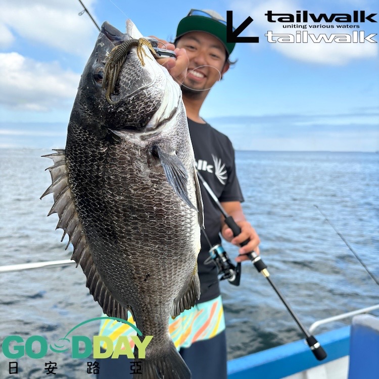 tailwalk B-BREAMER TZ 頂級旗艦黑鯛竿 >日安路亞<