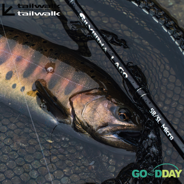 >日安路亞< tailwalk SILVERNA LAGO 系列竿款 管池鱒魚竿 微物竿-細節圖2