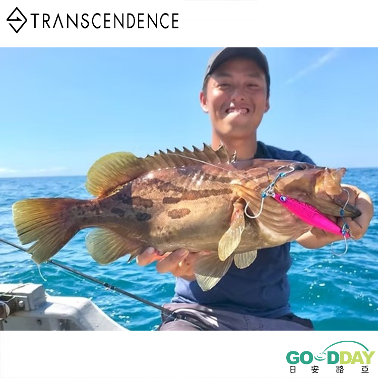 >日安路亞< TRANSCENDENCE ETA QUATTRO 可變節旅行竿、慢鐵竿-細節圖3