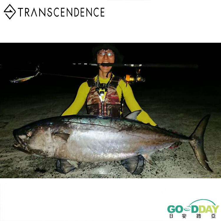 >日安路亞< TRANSCENDENCE SHORE R94S GT 大物多節竿-細節圖3